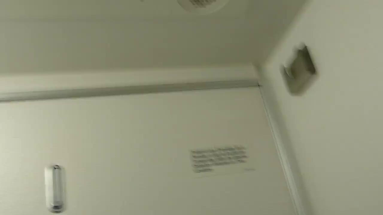 Couple quickie on the plane bathroom